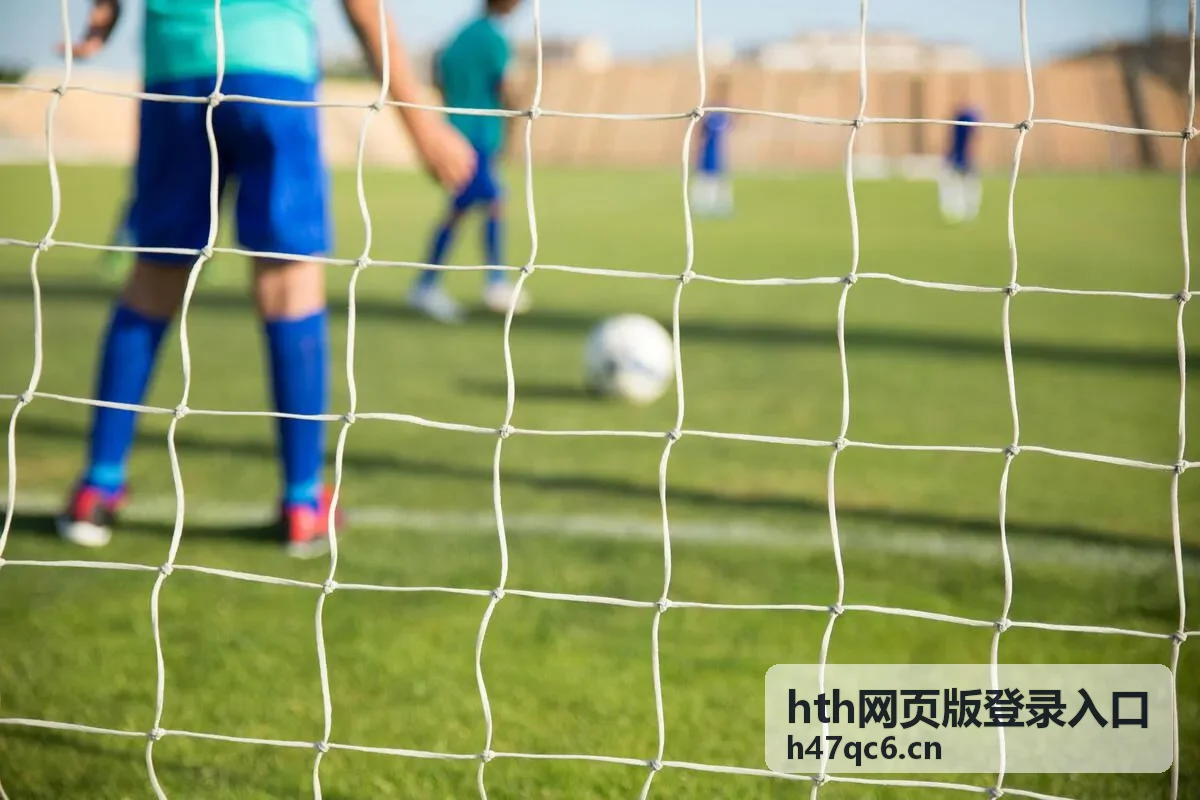 hth网页版登录入口两条通道状态对照示意