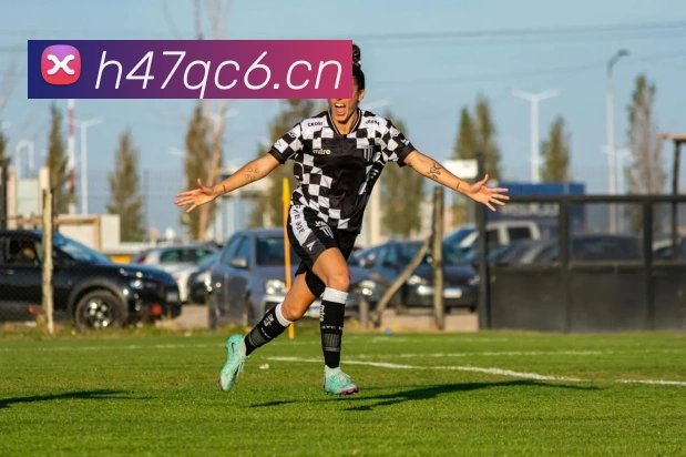 星空官网在线免费登录APP 封面图